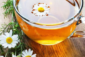 菊花茶加蜂蜜可以解酒吗