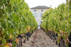 法国葡萄酒酒庄排行榜