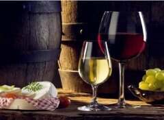 葡萄酒分类和基本知识干红