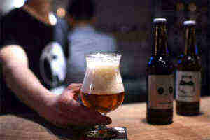 啤酒是一种调味品,啤酒是一种含有多种什么的饮料酒