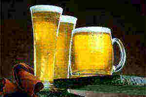 啤酒的主要原料和辅助原料「啤酒辅料的种类及作用」