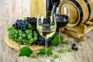 古代葡萄酒的酿制方法