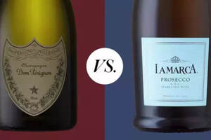 香槟和起泡酒的区别是什么？（香槟和起泡酒的区别是什么）