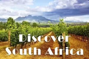 南非品牌红酒