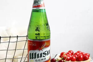 新疆乌苏啤酒代理加盟条件