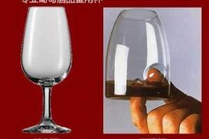 标准葡萄酒杯容量