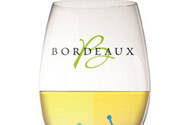 法国波尔多最好的白葡萄酒