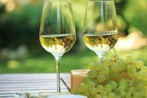 白葡萄酒的生产
