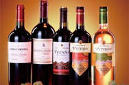 智利红酒品牌排行价格