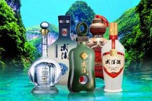 已被衡水老白干收购的湖南品牌武陵酒有哪些产品？
