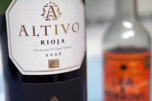 rioja是什么牌子的红酒（西班牙rioja红酒排名）