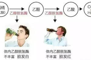中国人酒量越来越大了么？（酒量越来越大了对身体健康吗）