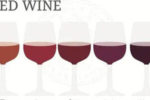 葡萄酒的颜色分类