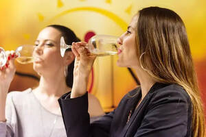 甜白葡萄酒、甜型桃红葡萄酒，在甜味和酸味之间的平衡关系的研究
