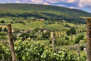 意大利最有名的葡萄酒品种