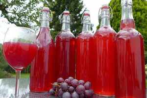 葡萄酒可以用酒曲发酵吗