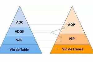 法国葡萄酒的等级分类（法国葡萄酒的等级分类aop）