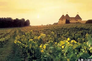 法国葡萄酒产区圣奇尼安