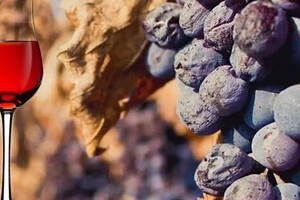 自酿葡萄酒新境界：利用晚收葡萄酿制甜葡萄酒的方法