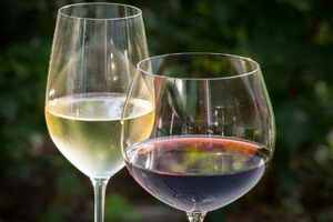 干红和白葡萄酒的区别