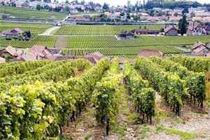 德国葡萄酒产区图