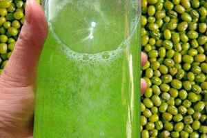 绿豆酒的制作方法与营养价值（黄桃罐头的制作方法和营养价值）