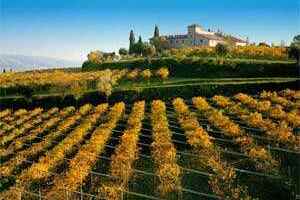 意大利葡萄酒产区划分