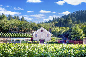 莫莱酒庄MorletFamilyVineyards