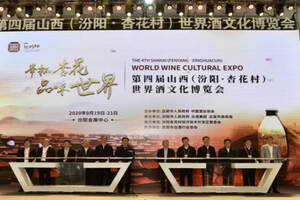 第四届山西（汾阳·杏花村）世界酒文化博览会开幕