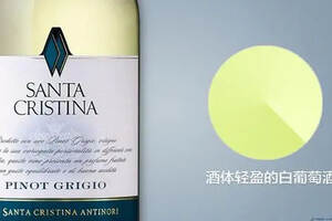 通过颜色如何识别白葡萄酒的优劣（值得收藏）！