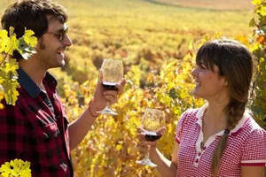 中国第三大葡萄酒进口国智利，性价比最高的进口葡萄酒