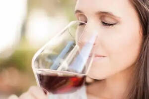 试述葡萄酒的种类和特点