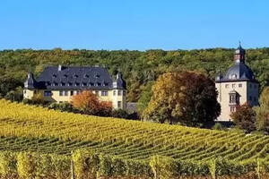 法国红酒庄园多少钱