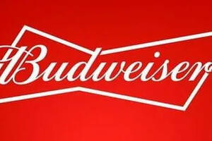 百威旗下啤酒品牌