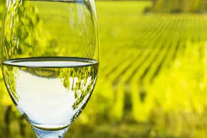 为什么白葡萄酒在中国市场上不受欢迎