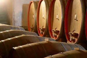 意大利葡萄酒共有多少种