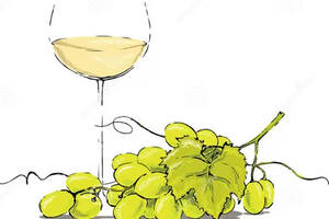 甜白葡萄酒工艺图片