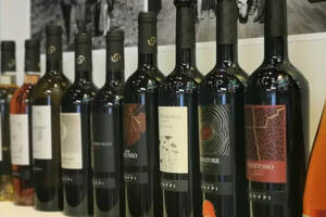 伊安·达加塔—意大利葡萄酒的“百科全书”