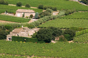 俗称的南法，一个法国葡萄园面积最大的产区