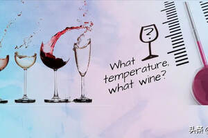 葡萄酒小课堂（4）|葡萄酒的饮用温度