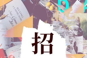 中国白酒招商加盟