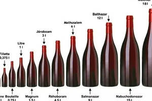 罗纳百科|酒瓶容量的“学问”