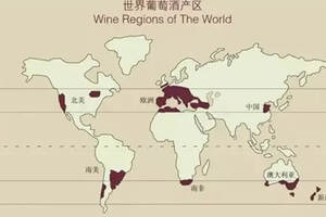 世界上需要埋土的葡萄酒产区