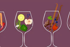 葡萄酒中有很多不属于葡萄的香气，它是怎么来的呢？