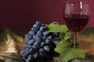 关于葡萄酒的知识和方法