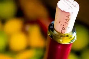 葡萄酒是怎么做的视频 