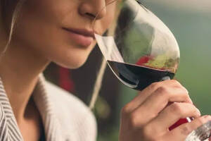 如何理解葡萄酒中的一级、二级和三级香气