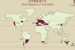 最全面的世界葡萄酒产区地图（世界葡萄酒七大产区）