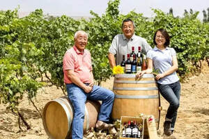炫丽之巅·贺兰晴雪|TA改变了世界对中国葡萄酒的偏见