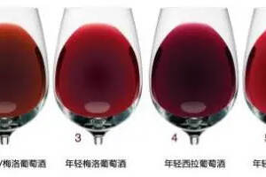 葡萄酒品种分类
